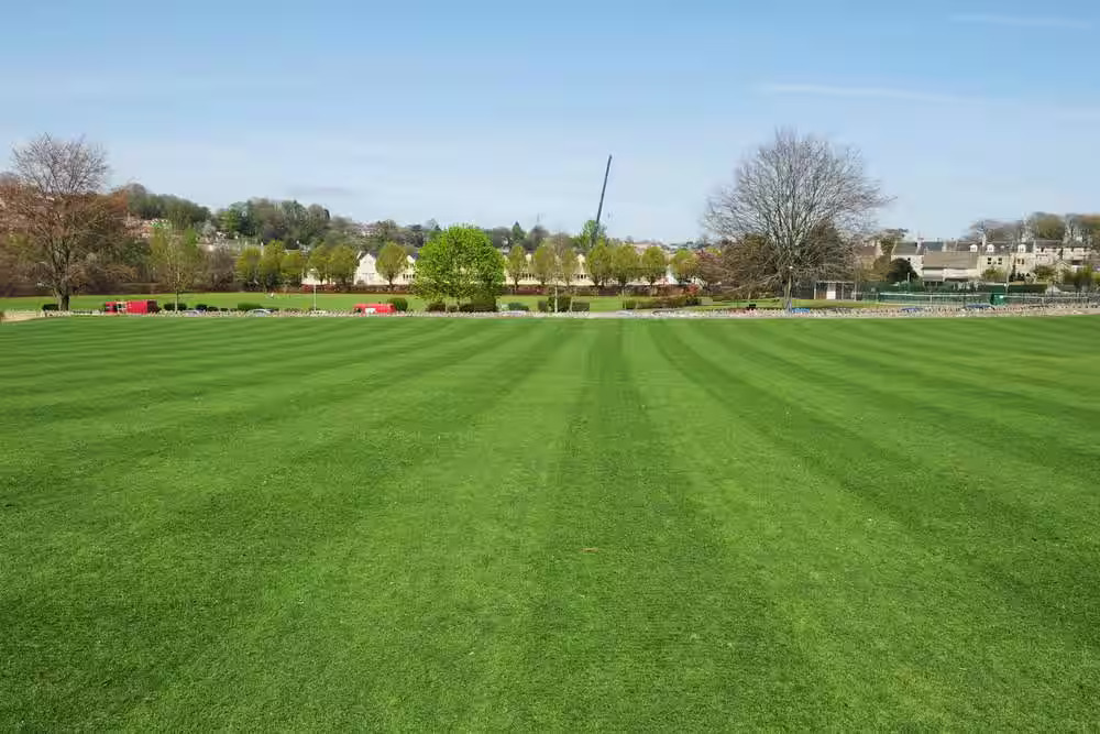 Cricket Outfield Leveling and Grassing