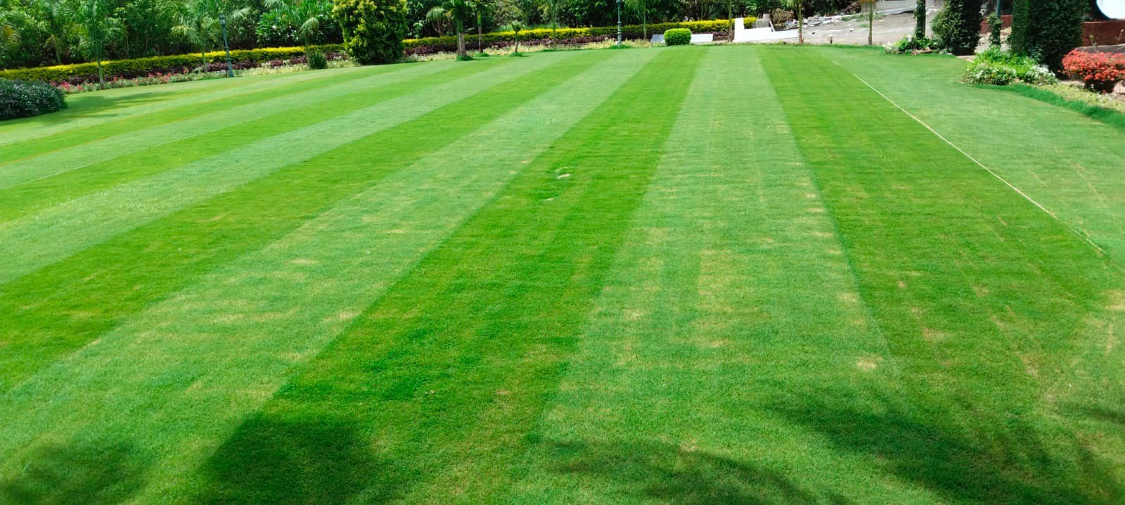 Resort Lawn and Play Area